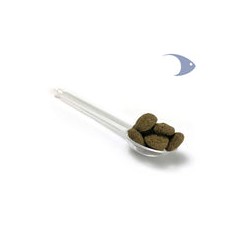 Pay de camarón con vegetales