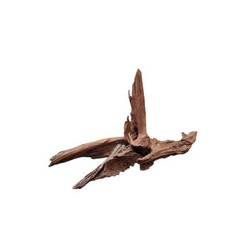 Raíz Mangle Acuarios Grande