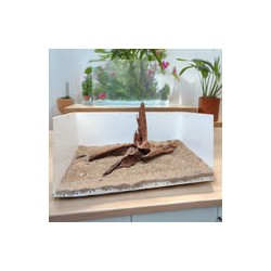 Raíz Mangle Acuarios Grande