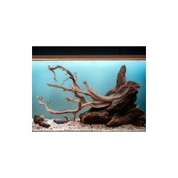 Raíz Manzanita Acuarios Grande #102