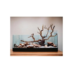 RAÍZ MANZANITA ACUARIOS GRANDE #14