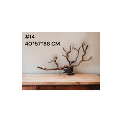 RAÍZ MANZANITA ACUARIOS GRANDE #14