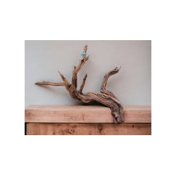 RAÍZ MANZANITA ACUARIOS Grande #8