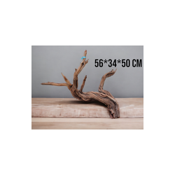 RAÍZ MANZANITA ACUARIOS Grande #8