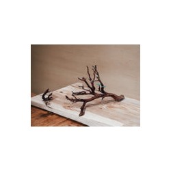 RAÍZ MANZANITA ACUARIOS Med #104