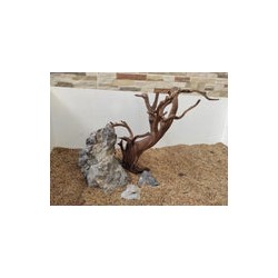 RAÍZ MANZANITA ACUARIOS Mediana #9