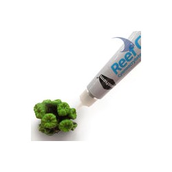 Reef Glue Pegamento Corales