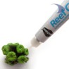 Reef Glue Pegamento Corales