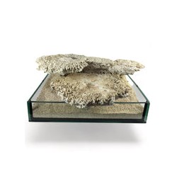 Roca Base Decoline Forma Plato (Por Kilo)