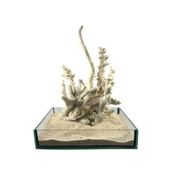 Roca Base Decoline Ramificada Branch