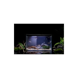 Acuario BOYU series GR