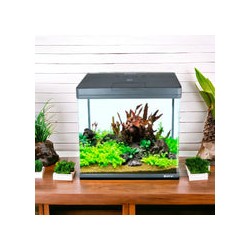 Acuario curvo negro Boyu MS-520 45 L
