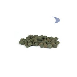 Azoo Max Shrimp Breed