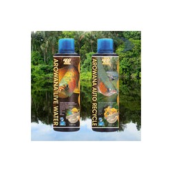 AZOO Plus Arowana Live Water