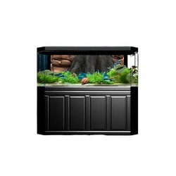 Fondo 3D Biotopo Amazonas