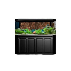 Fondo 3D Canyon Rock Café