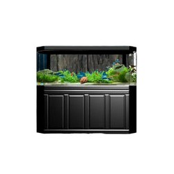 Fondo 3D Rain Forest