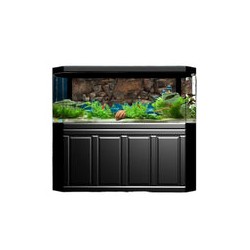 Fondo 3D Tanganyika Café