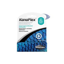 KanaPlex
